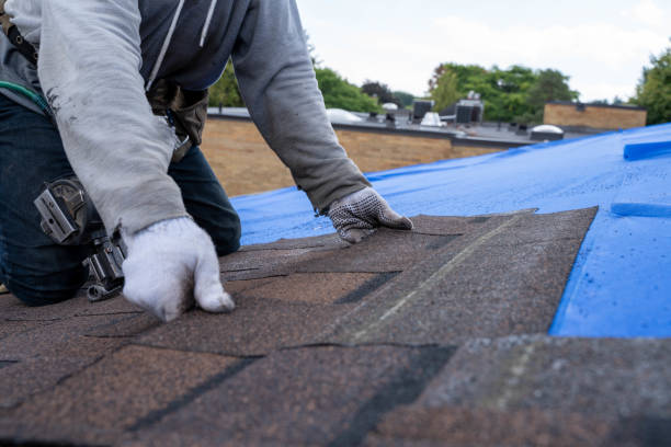 Best Roof Repair Services  in Evanston, WY