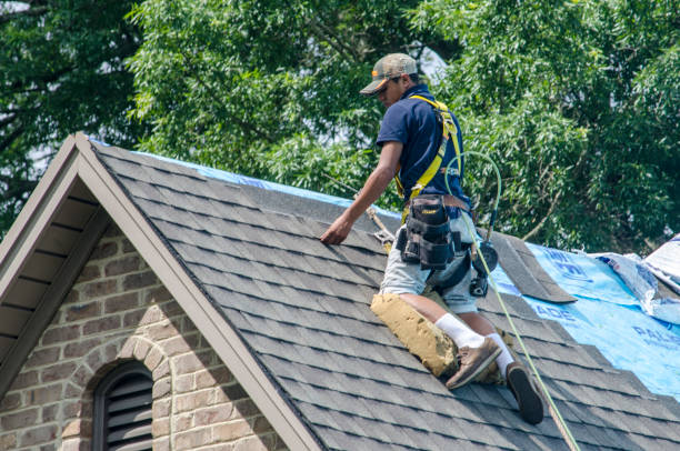 Best Roof Gutter Cleaning  in Evanston, WY
